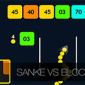 Snake vs Blocks