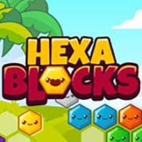 Hexa Blocks